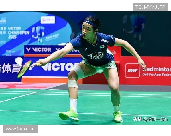 安洗莹居然奢侈到连家里的猫都比我还讲究了？